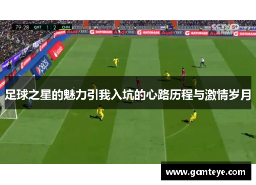 足球之星的魅力引我入坑的心路历程与激情岁月