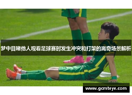 梦中目睹他人观看足球赛时发生冲突和打架的离奇场景解析