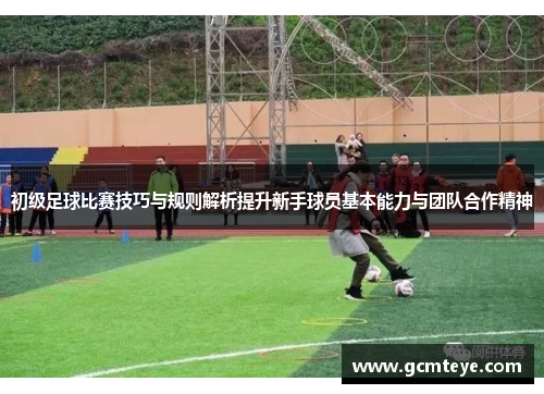 初级足球比赛技巧与规则解析提升新手球员基本能力与团队合作精神